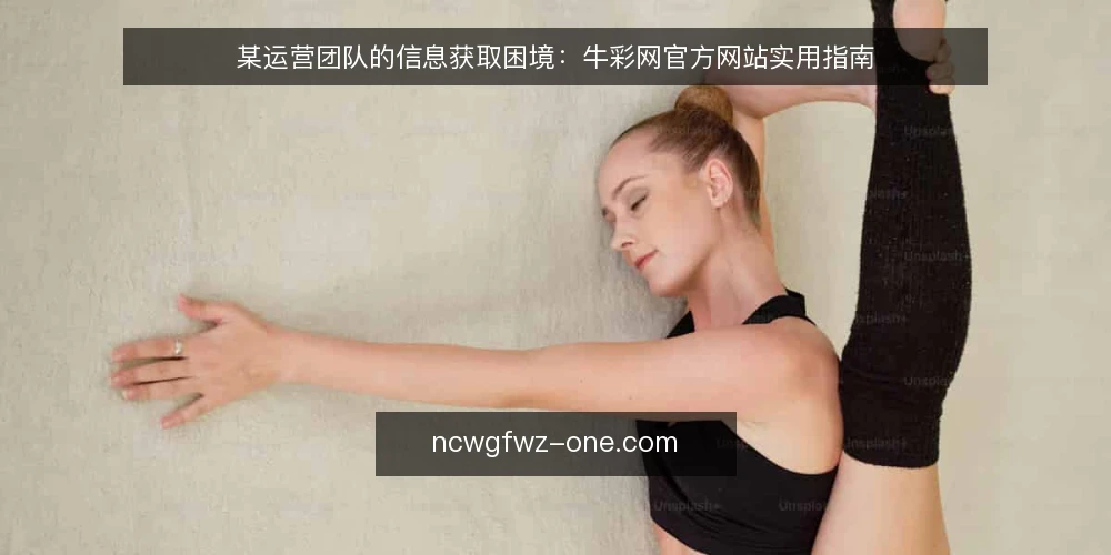 某运营团队的信息获取困境：牛彩网官方网站实用指南 — 场景：团队的信息获取需求与困惑 配图