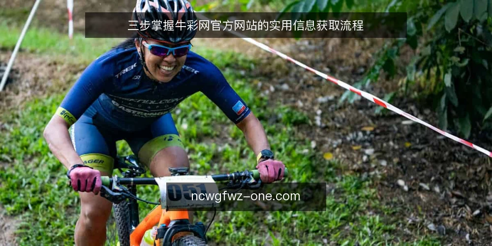 三步掌握牛彩网官方网站的实用信息获取流程 — 准备：明确信息需求与使用场景 配图